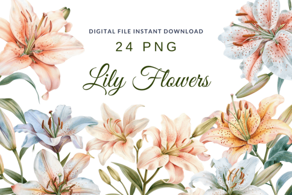 Download Watercolor Lilies Flower Lily Clipart - Lilies Collection