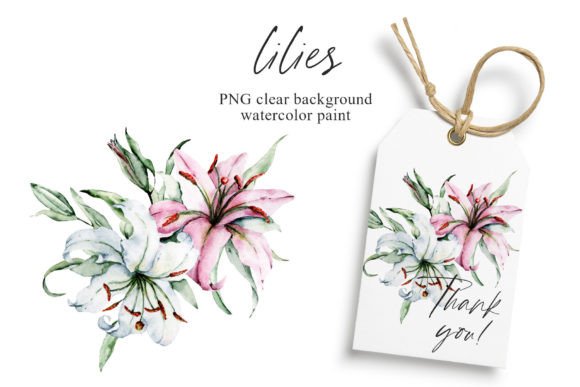 Download Pink and White Flowers Lilies, PNG. - Lilies Collection