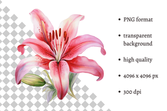 Download Watercolor Tiger Lilies Clipart - Lilies Collection