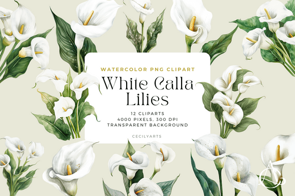 Download White Calla Lilies Cliparts - Premium Resources